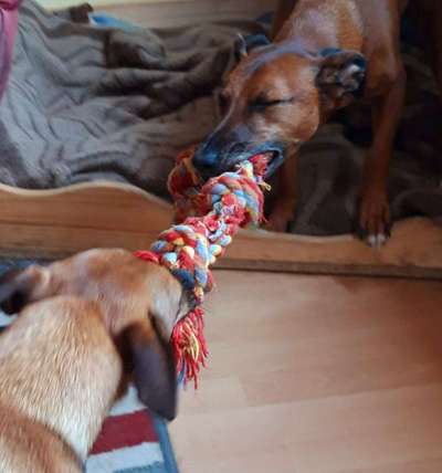 Foto Challenge die Vierte-Beitrag-Bild