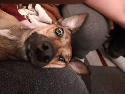 Fotochallange Nr. 6 Die irrsten Blicke-Beitrag-Bild