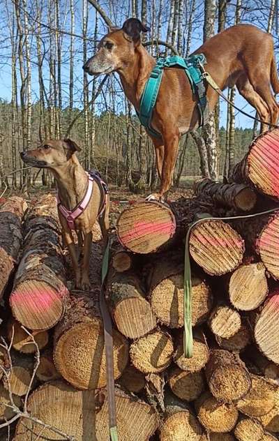 Foto Challenge Nr. 79-Beitrag-Bild