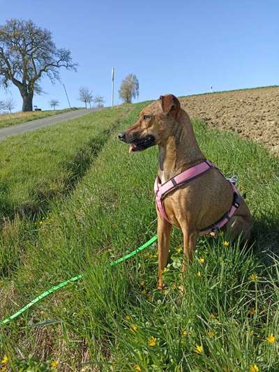 Fotochallenge 78

Es grünt und blüht-Beitrag-Bild