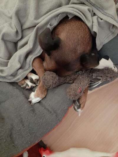 Hier ist der Spaßthread. Zum Schmunzeln und Kaputtlachen-Beitrag-Bild