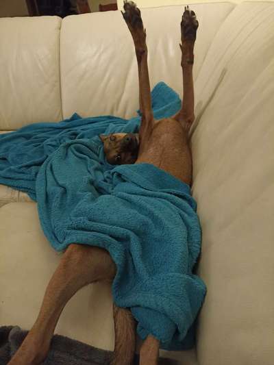 Fotochallenge Nr. 67: Euer Lieblingsbild-Beitrag-Bild