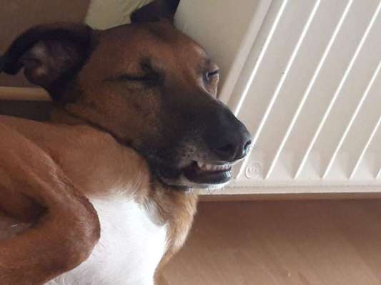 Fotochallange Nr. 6 Die irrsten Blicke-Beitrag-Bild