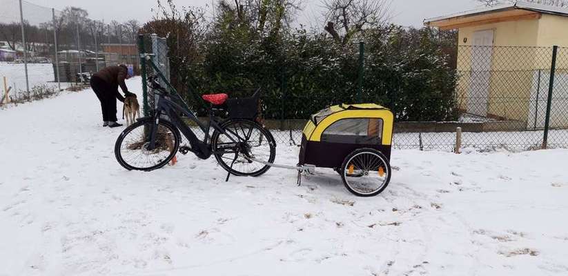 Hundeanhänger für das Fahrrad-Beitrag-Bild