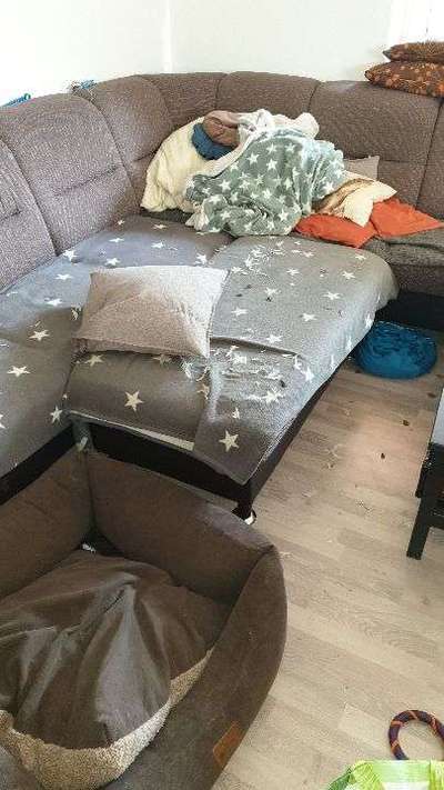 Kissen explodiert-Beitrag-Bild