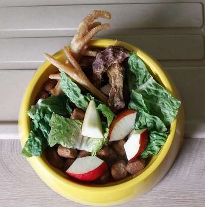 Zeigt her Eure Futternäpfe-Beitrag-Bild