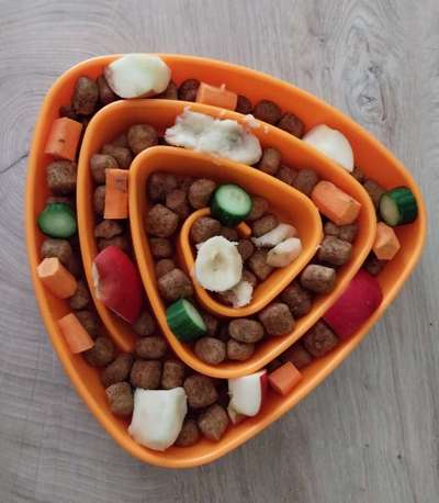 Zeigt her Eure Futternäpfe-Beitrag-Bild