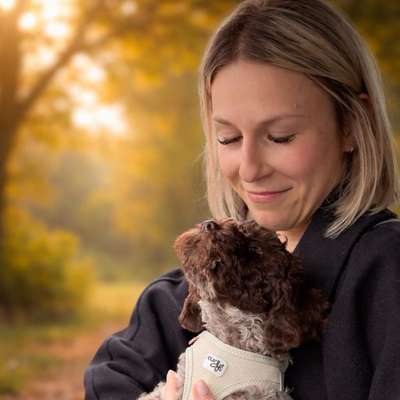 Hundetreffen-Welpenspielen/Sozialisierung-Profilbild