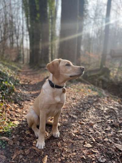 Lieblingsbild-Beitrag-Bild