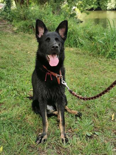 Das beste grinsefoto-Beitrag-Bild