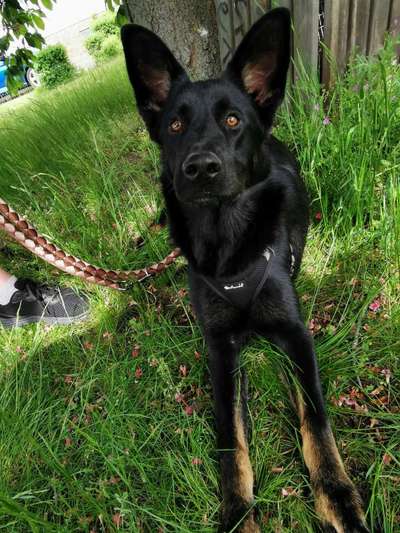 Theos  Fotochallenge Nummer 2-Beitrag-Bild