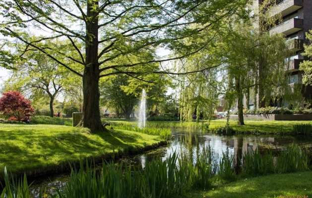 Hundeauslaufgebiet-Stadtpark Thalenweide-Bild