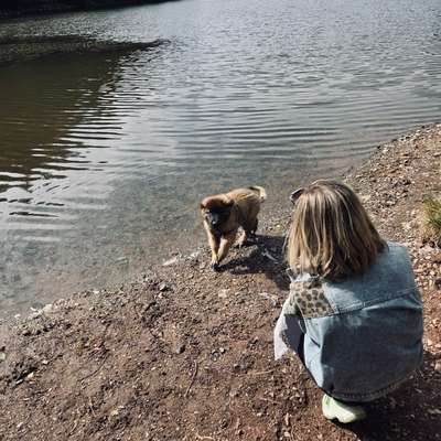 Hundetreffen-Junghund Treffen