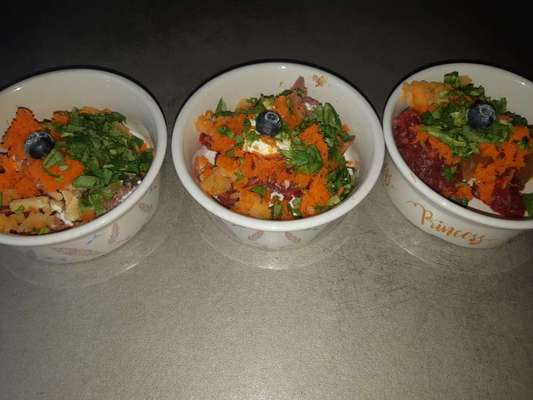 Französische Bulldoggen-Beitrag-Bild