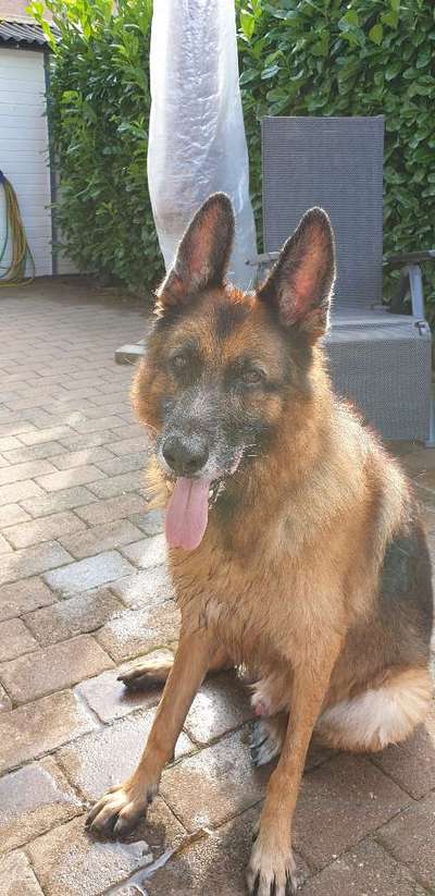 Fotochallenge Nr. 56 - geliebte Senioren-Beitrag-Bild