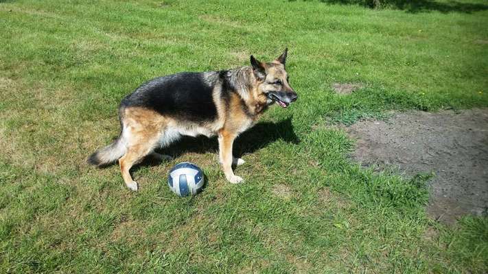 Fotochallenge Nr. 56 - geliebte Senioren-Beitrag-Bild