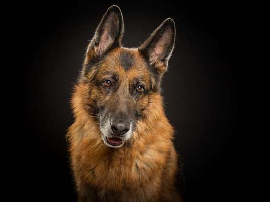 Fotochallenge Nr. 56 - geliebte Senioren-Beitrag-Bild