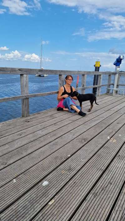 Hundetreffen-Welpentreff-Bild