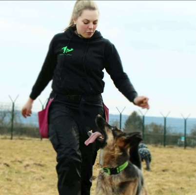 IGP- Fährten, Unterordnung, Schutzdienst-Beitrag-Bild