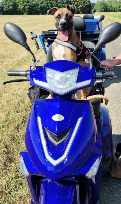 23. Handy Foto-Challenge-Beitrag-Bild