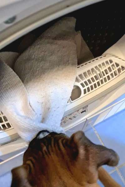 Handy-Foto Challange Nr. 12-Beitrag-Bild