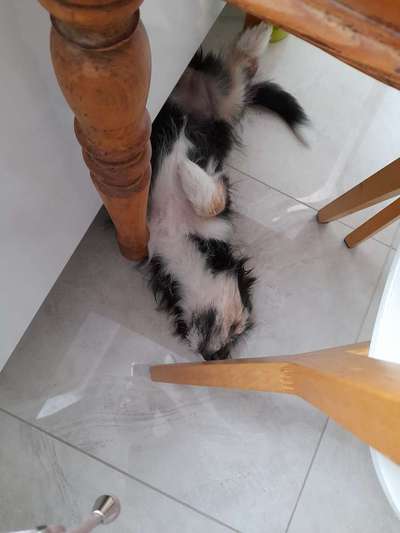 Die unbequemsten und lustigsten Schlafpositionen-Beitrag-Bild