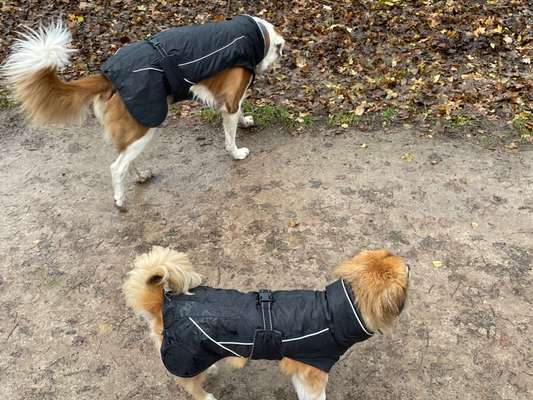 Zeigt euer coolstes winteroutfit-Beitrag-Bild