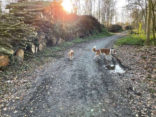 Zeigt mir eure Lieblingsfotos ♡♡-Beitrag-Bild