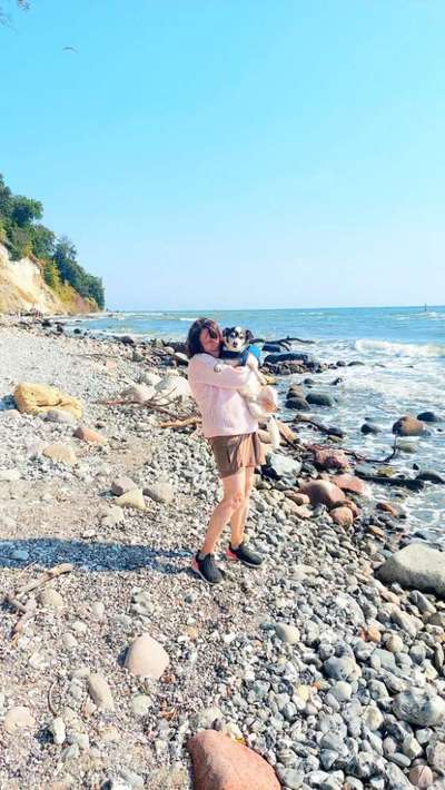 Hund abgegeben, weil Urlaub anstand? Leider kein Witz 😳-Beitrag-Bild