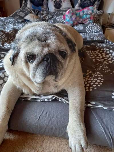 Fotochallange Nr. 57     PORTRÄT.   Beendet!!!!!!!!-Beitrag-Bild