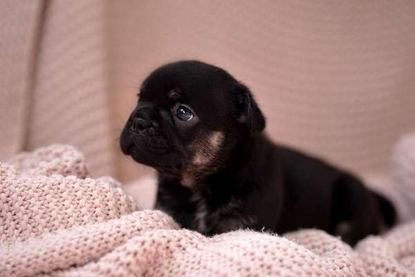 Sie werden so schnell erwachsen ...-Beitrag-Bild