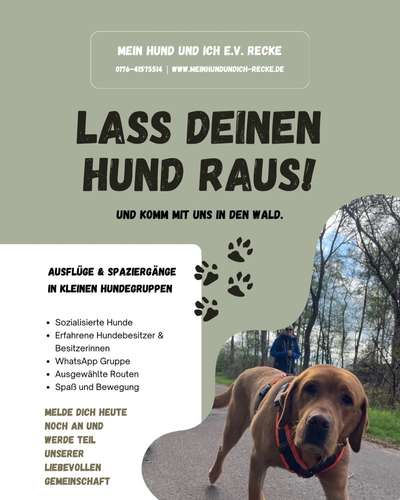 Hundetreffen-Social Walk 🐾 Von Hund zu Hund – von Mensch zu Mensch 🐾-Bild