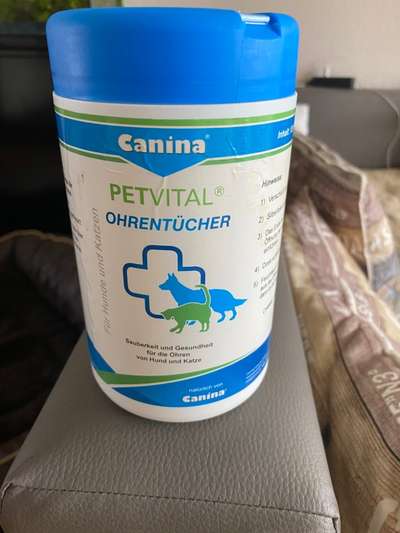 Doubledoodle bzw Labradoodle, Goldendoodle-Beitrag-Bild