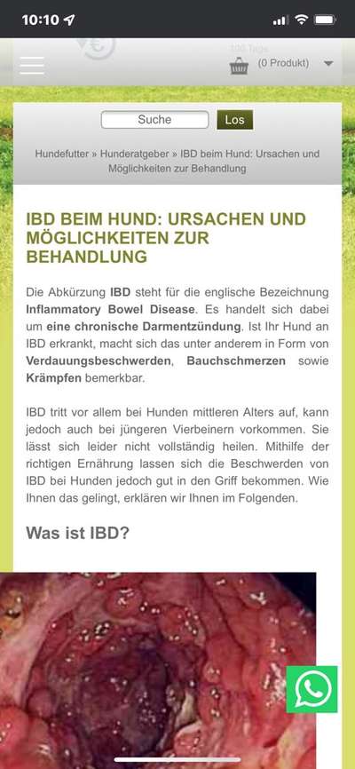 IBD frisch diagnostiziert-Beitrag-Bild