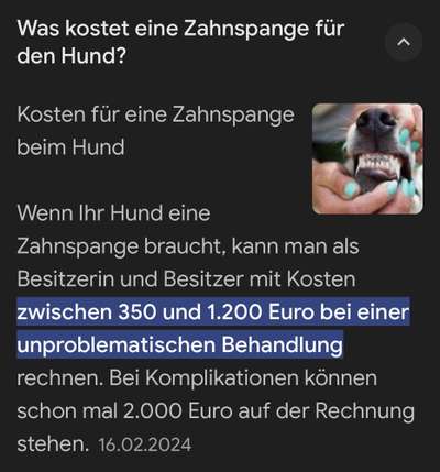 Zahnspange beim Hund-Beitrag-Bild