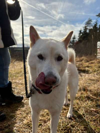 Zeigt mir die tollste Nahaufnahme von eurer Fellnase-Beitrag-Bild