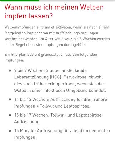 Impfung-Beitrag-Bild