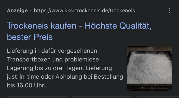 Barfen im Urlaub-Beitrag-Bild