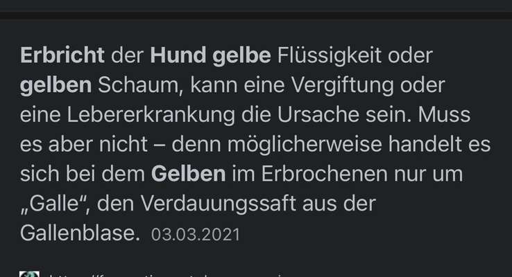 Mein Hund erbricht gelben Schleim-Beitrag-Bild