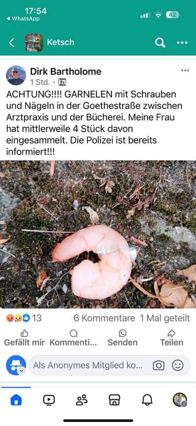 Giftköder-Garnelen mit Nägeln-Bild