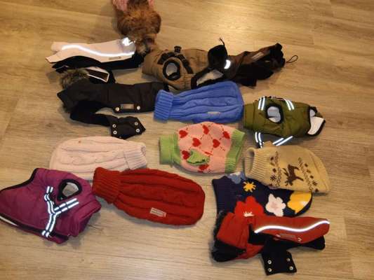 Verschiedene Mäntel und Pullis-Beitrag-Bild