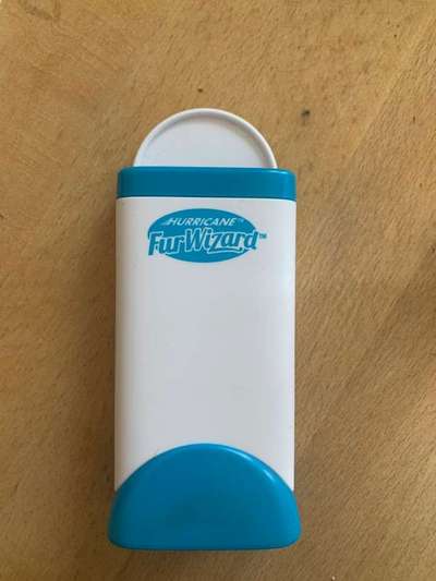 Hundehaare auf dem Sofa-Beitrag-Bild