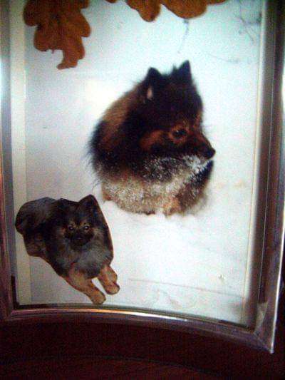 Unsere Sternchen ******-Beitrag-Bild