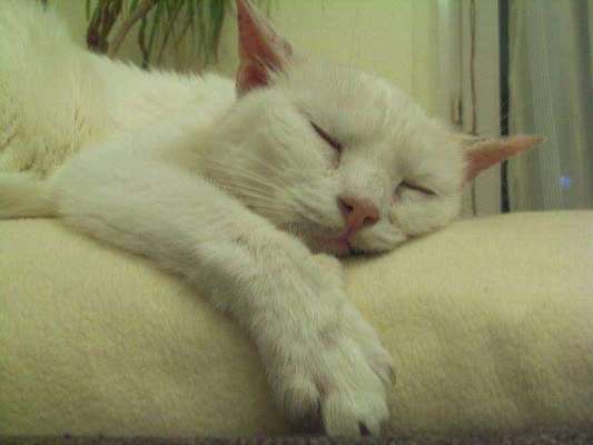 Unsere Sternchen ******-Beitrag-Bild