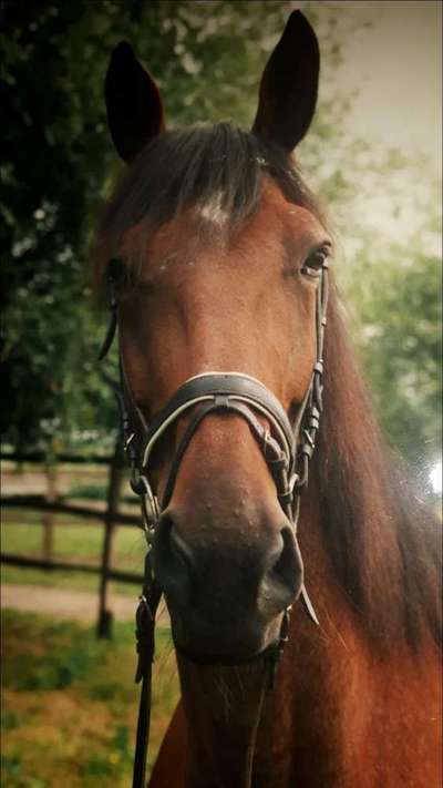 Unsere Sternchen ******-Beitrag-Bild