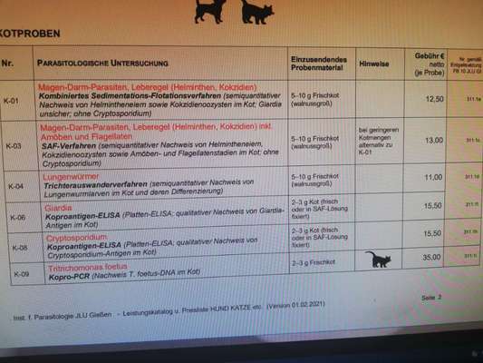 Wurmtest zum Selbsteinschicken Erfahrungen-Beitrag-Bild