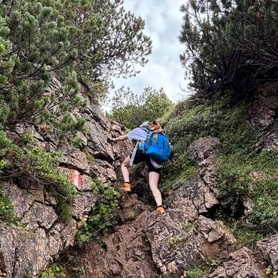 Bergwandern mit Hund-Beitrag-Bild