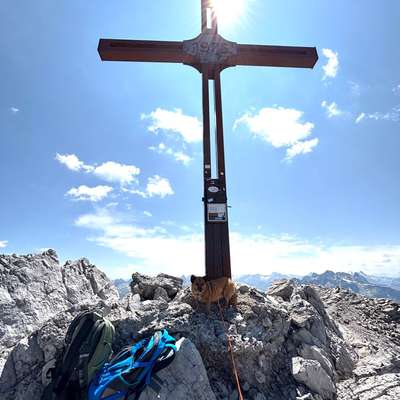 Bergwandern mit Hund-Beitrag-Bild