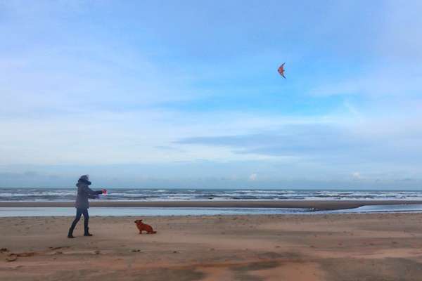 Urlaub mit Hund - Noordwijk - Erfahrungen?-Beitrag-Bild