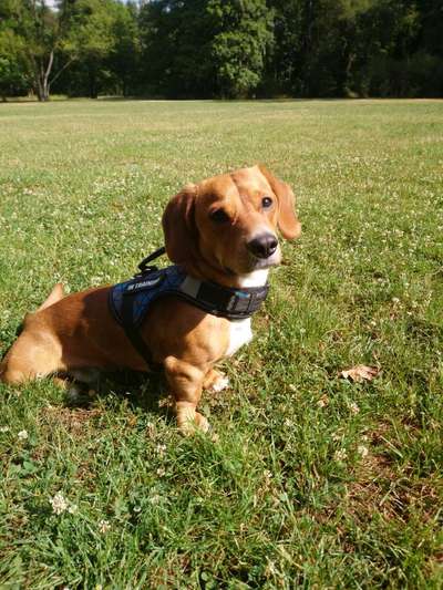 Zeigt eure Portraits-Beitrag-Bild